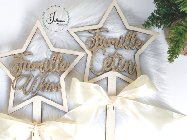 Etoile de noël