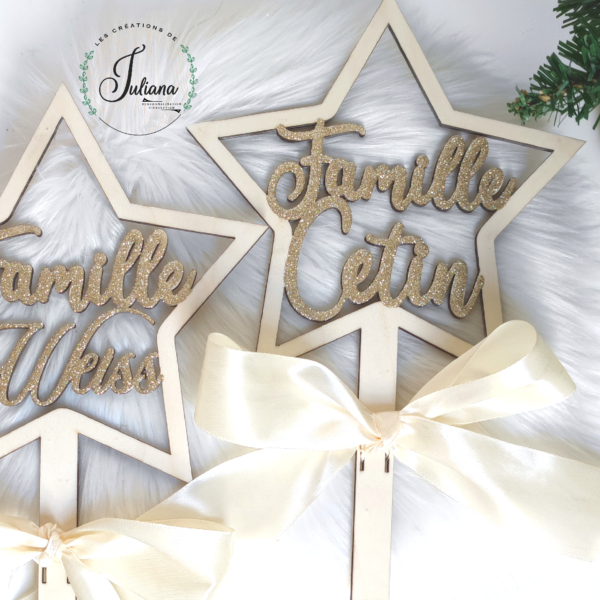 Etoile de noël