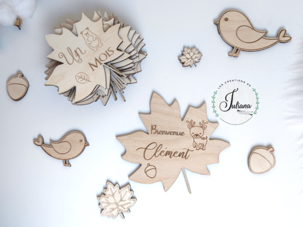 Cartes étapes "Forêt" – Image 2